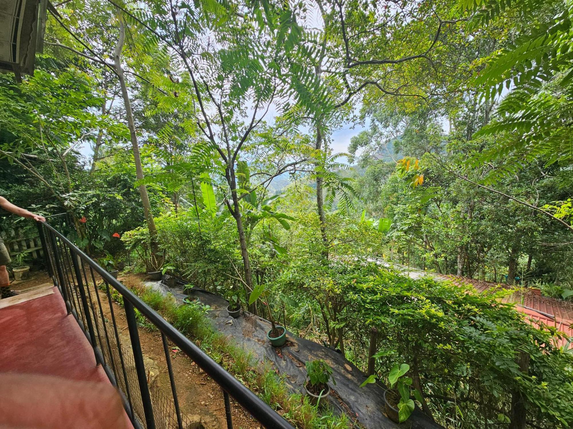 Opal Cottage Ella Zewnętrze zdjęcie